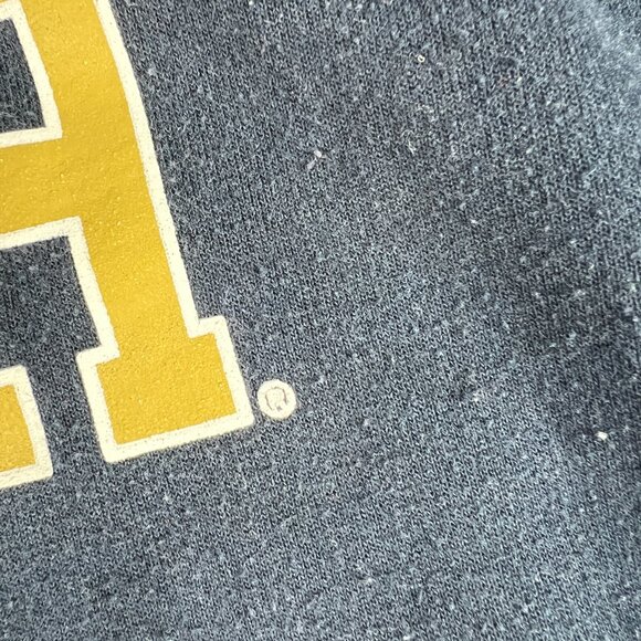 Champion Georgia Tech Yellow Jackets Sweatshirt Adult Medium Black Faded Hoodie - Picture 4 of 16